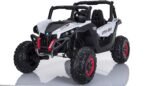 LightningUTV-wht.jpg