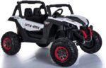 LightningUTV-wht.jpg