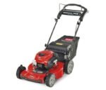 Toro_22_Personal_Pace_Auto-Drive_Briggs_21462-1-1.jpg